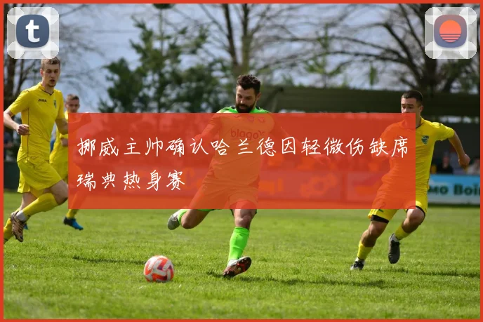 挪威主帅确认哈兰德因轻微伤缺席瑞典热身赛